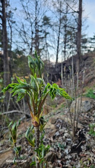 염봉섭님의 기타작물 · 영농일지 작성글 사진