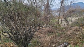 서초농원님의 기타작물 · 영농일지 작성글 사진