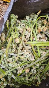 염봉섭님의 작성글 사진