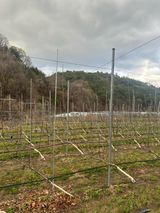 임영택님의 작성글 사진