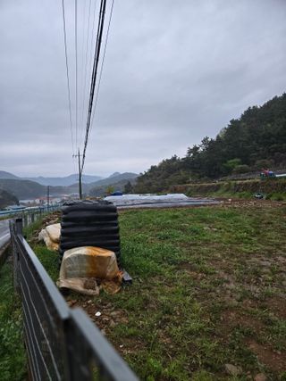 이영철님의 고추 · 영농일지 작성글 사진