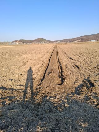 천성을향하여님의 벼 · 영농일지 작성글 사진