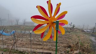 두원리 산막골농부님의 고추 · 영농일지 작성글 사진