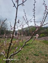 장정규님의 작성글 사진