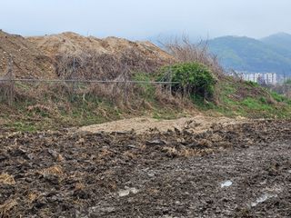 넥스젠님의 벼 · 영농일지 작성글 사진