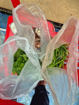 주병민님의 기타작물 · 영농일지 작성글 사진