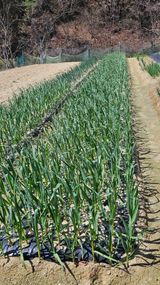 멋진인생님의 작성글 사진