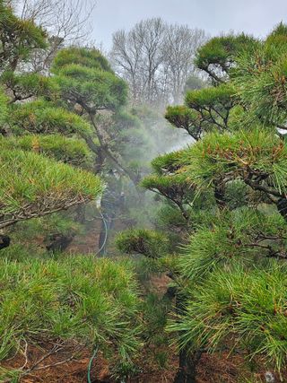 상추22033님의 기타작물 · 영농일지 작성글 사진