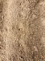 성은모님의 작성글 사진