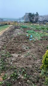 이상철님의 작성글 사진