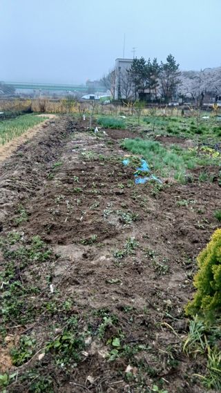 이상철님의 기타작물 · 영농일지 작성글 사진