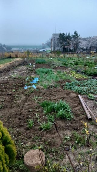 이상철님의 기타작물 · 영농일지 작성글 사진