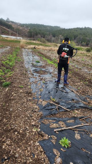 장흥 모경화 님의 기타작물 · 영농일지 작성글 사진