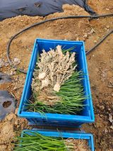 호박12662님의 작성글 사진