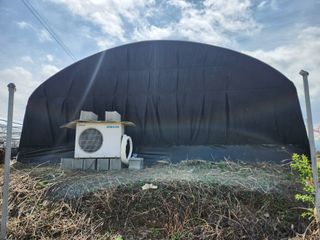 꿀복이농장님의 복숭아 · 영농일지 작성글 사진