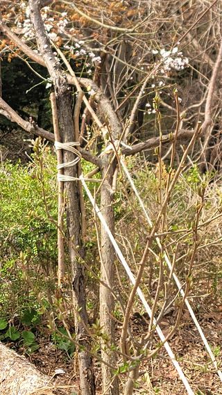 서초농원님의 기타작물 · 영농일지 작성글 사진