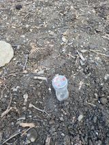 김용대님의 작성글 사진