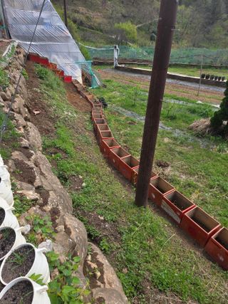 쌍둥이농장님의 기타작물 · 영농일지 작성글 사진