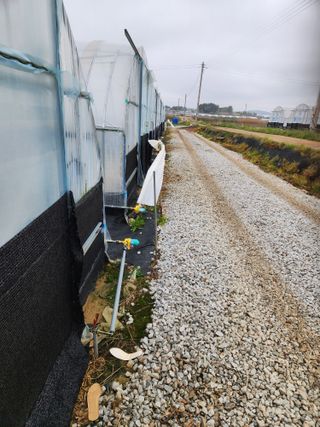 김저팔계님의 작성글 사진