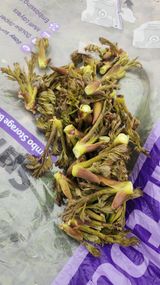 장흥 모경화 님의 작성글 사진