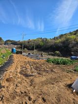 이영철님의 작성글 사진