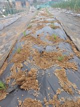 양경일님의 작성글 사진