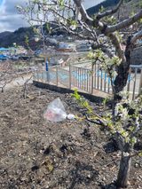 김용대님의 작성글 사진