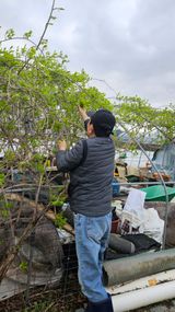 팜모닝 기타작물·영농일지 게시글 이미지