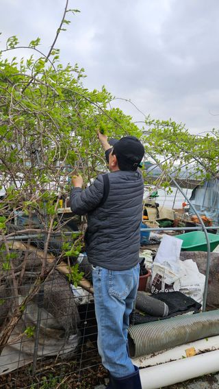 정규환님의 기타작물 · 영농일지 작성글 사진