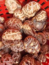 팜모닝 버섯·영농일지 게시글 이미지