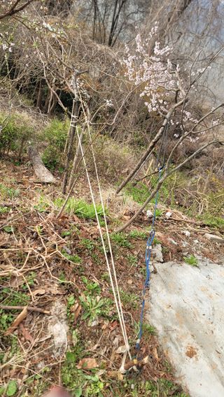 서초농원님의 기타작물 · 영농일지 작성글 사진