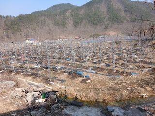 무주김근중님의 기타작물 · 영농일지 작성글 사진