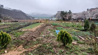 이상철님의 기타작물 · 영농일지 작성글 사진