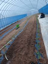 김영경님의 작성글 사진