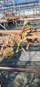 이화주님의 작성글 사진