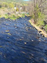 팜모닝 감·영농일지 게시글 이미지