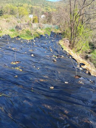 최영묵님의 작성글 사진