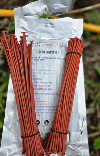 윤장원님의 자두 · 영농일지 작성글 사진