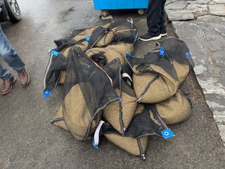 오작교농장님의 벼 · 영농일지 작성글 사진