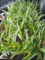 양경일님의 작성글 사진