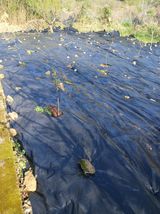 최영묵님의 작성글 사진