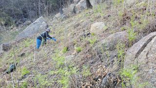 염봉섭님의 작성글 사진