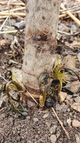 장흥 모경화 님의 작성글 사진