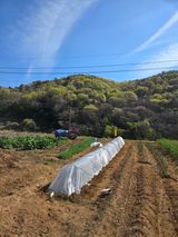 이영철님의 작성글 사진