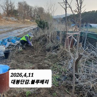 시민농장님의 기타작물 · 영농일지 작성글 사진