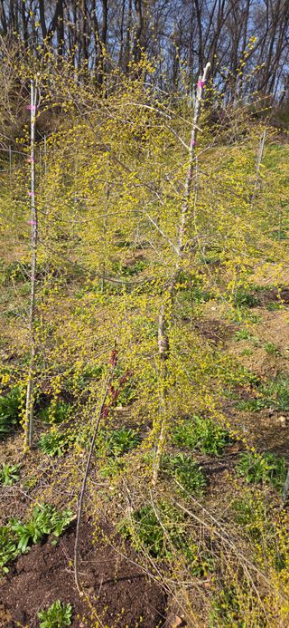 이해창님의 기타작물 · 영농일지 작성글 사진