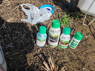 정영석님의 기타작물 · 영농일지 작성글 사진