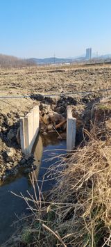 팜모닝 기타작물·영농일지 게시글 이미지