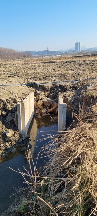 대파11156님의 기타작물 · 영농일지 작성글 사진