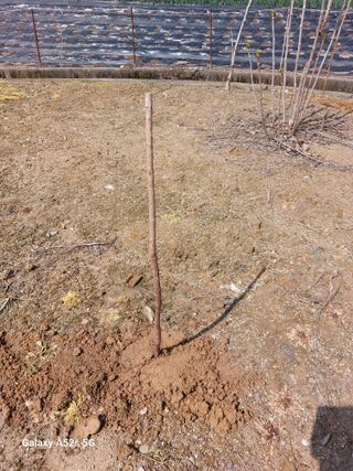 손길준님의 기타작물 · 영농일지 작성글 사진